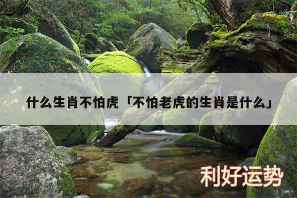 什么生肖不怕虎及不怕老虎的生肖是什么