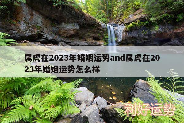 属虎在2024年婚姻运势and属虎在2024年婚姻运势怎么样