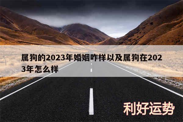 属狗的2024年婚姻咋样以及属狗在2024年怎么样