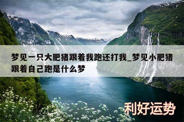 梦见一只大肥猪跟着我跑还打我_梦见小肥猪跟着自己跑是什么梦