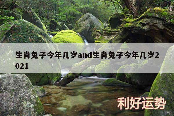 生肖兔子今年几岁and生肖兔子今年几岁2024