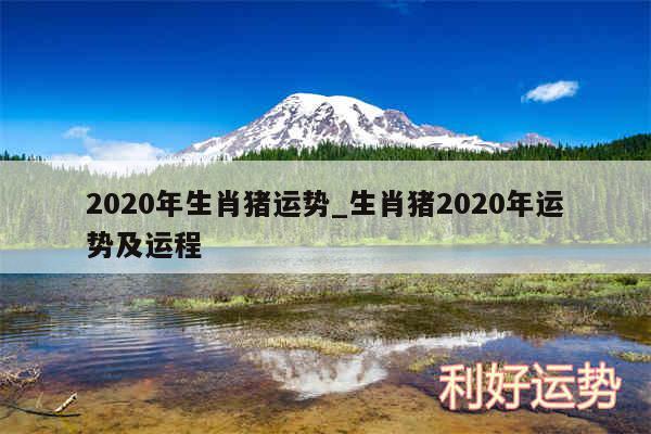 2020年生肖猪运势_生肖猪2020年运势及运程