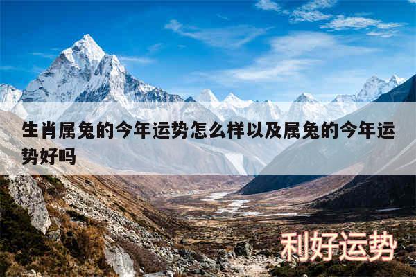 生肖属兔的今年运势怎么样以及属兔的今年运势好吗