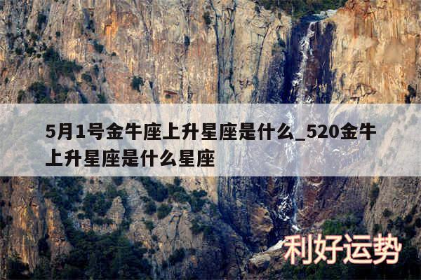 5月1号金牛座上升星座是什么_520金牛上升星座是什么星座