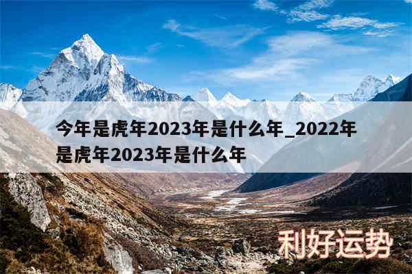 今年是虎年2024年是什么年_2024年是虎年2024年是什么年