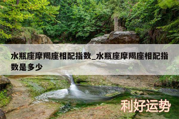 水瓶座摩羯座相配指数_水瓶座摩羯座相配指数是多少