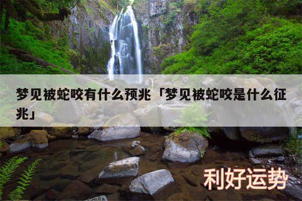 梦见被蛇咬有什么预兆及梦见被蛇咬是什么征兆