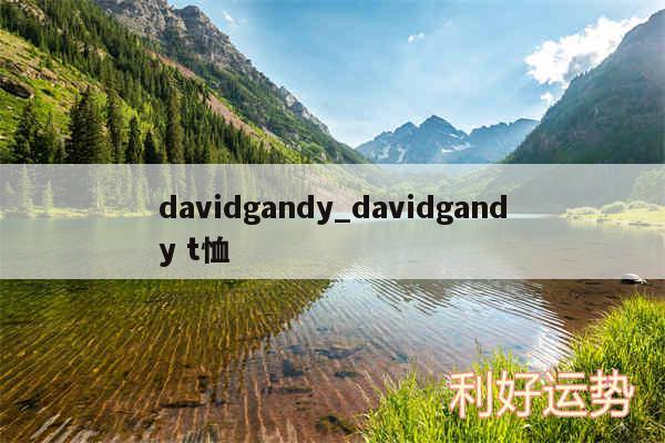 davidgandy_davidgandy t恤
