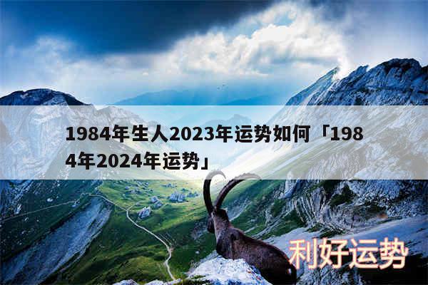 1984年生人2024年运势如何及1984年2024年运势