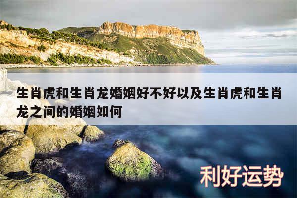 生肖虎和生肖龙婚姻好不好以及生肖虎和生肖龙之间的婚姻如何