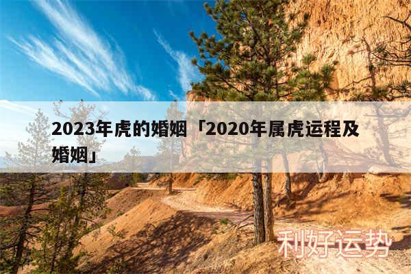 2024年虎的婚姻及2020年属虎运程及婚姻