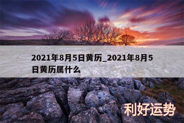 2024年8月5日黄历_2024年8月5日黄历属什么