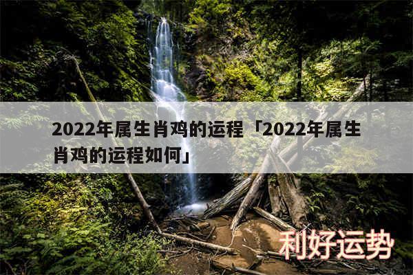 2024年属生肖鸡的运程及2024年属生肖鸡的运程如何
