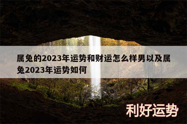 属兔的2024年运势和财运怎么样男以及属兔2024年运势如何