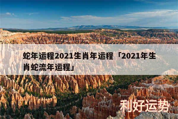 蛇年运程2024生肖年运程及2024年生肖蛇流年运程