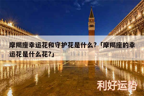 摩羯座幸运花和守护花是什么?及摩羯座的幸运花是什么花?