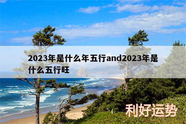 2024年是什么年五行and2024年是什么五行旺