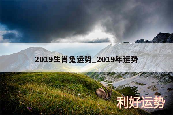 2019生肖兔运势_2019年运势