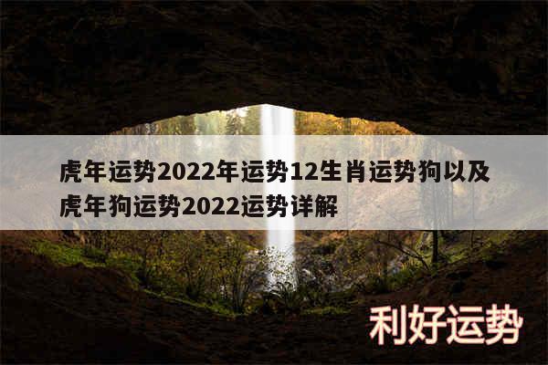虎年运势2024年运势12生肖运势狗以及虎年狗运势2024运势详解