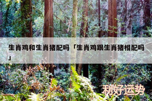 生肖鸡和生肖猪配吗及生肖鸡跟生肖猪相配吗