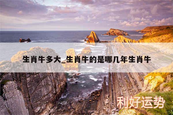 生肖牛多大_生肖牛的是哪几年生肖牛