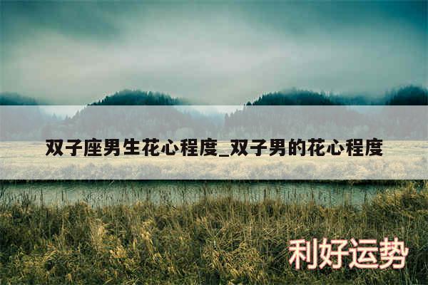 双子座男生花心程度_双子男的花心程度