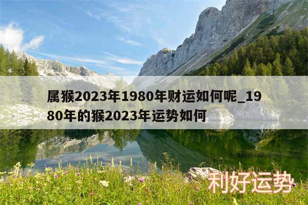 属猴2024年1980年财运如何呢_1980年的猴2024年运势如何