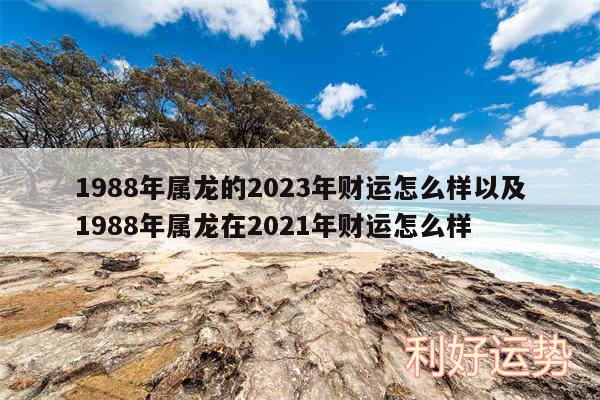 1988年属龙的2024年财运怎么样以及1988年属龙在2024年财运怎么样