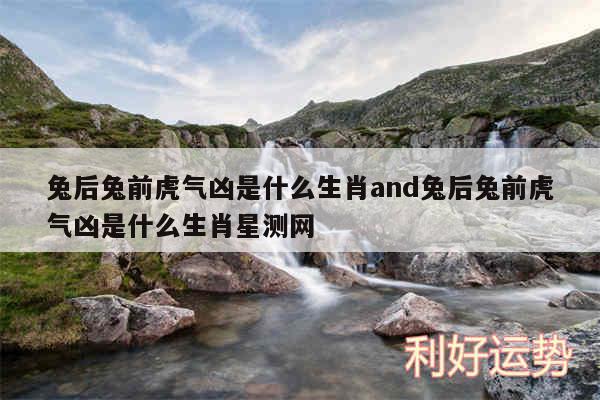 兔后兔前虎气凶是什么生肖and兔后兔前虎气凶是什么生肖星测网