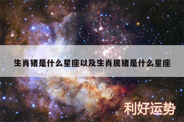 生肖猪是什么星座以及生肖属猪是什么星座