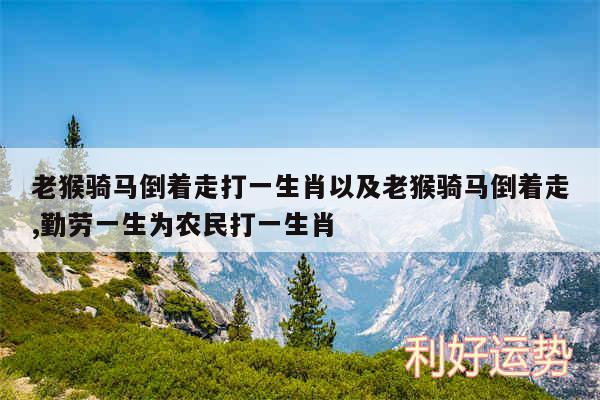 老猴骑马倒着走打一生肖以及老猴骑马倒着走,勤劳一生为农民打一生肖