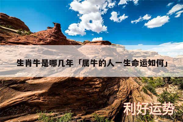 生肖牛是哪几年及属牛的人一生命运如何