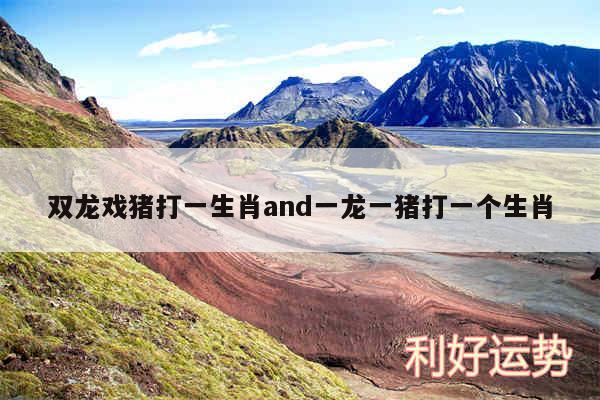 双龙戏猪打一生肖and一龙一猪打一个生肖