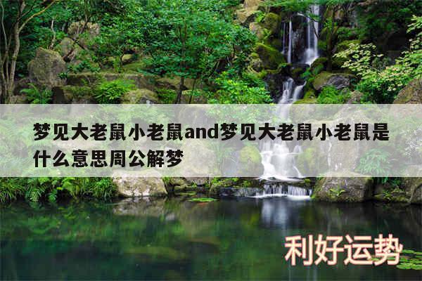 梦见大老鼠小老鼠and梦见大老鼠小老鼠是什么意思周公解梦