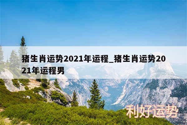 猪生肖运势2024年运程_猪生肖运势2024年运程男