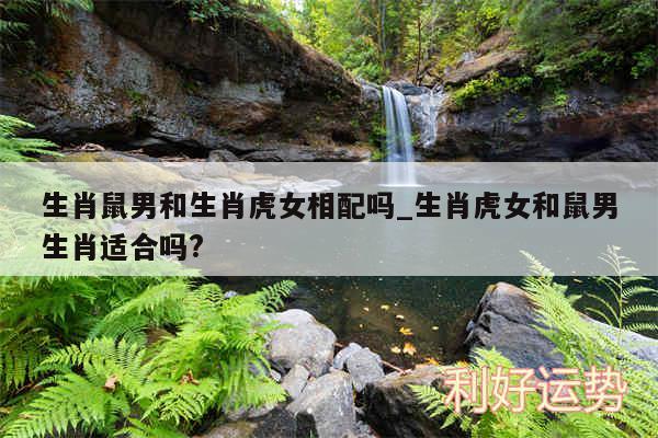 生肖鼠男和生肖虎女相配吗_生肖虎女和鼠男生肖适合吗?