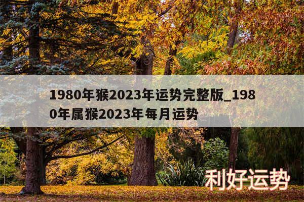 1980年猴2024年运势完整版_1980年属猴2024年每月运势