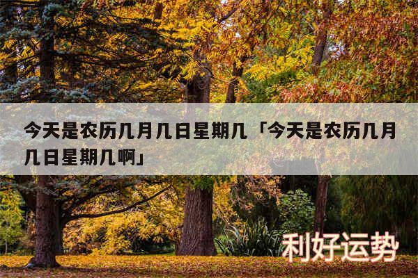 今天是农历几月几日星期几及今天是农历几月几日星期几啊