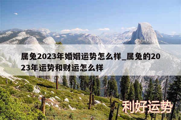 属兔2024年婚姻运势怎么样_属兔的2024年运势和财运怎么样