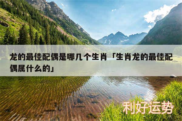 龙的最佳配偶是哪几个生肖及生肖龙的最佳配偶属什么的
