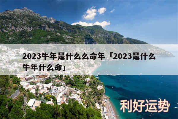 2024牛年是什么么命年及2024是什么牛年什么命