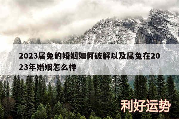 2024属兔的婚姻如何破解以及属兔在2024年婚姻怎么样