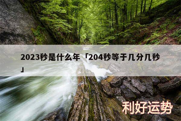 2024秒是什么年及204秒等于几分几秒