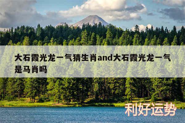 大石霞光龙一气猜生肖and大石霞光龙一气是马肖吗