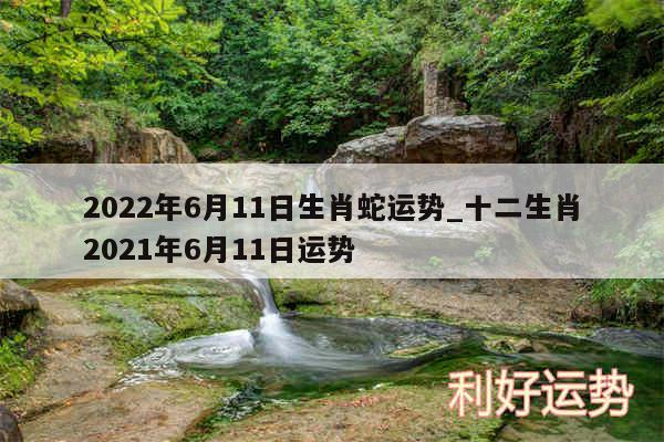 2024年6月11日生肖蛇运势_十二生肖2024年6月11日运势