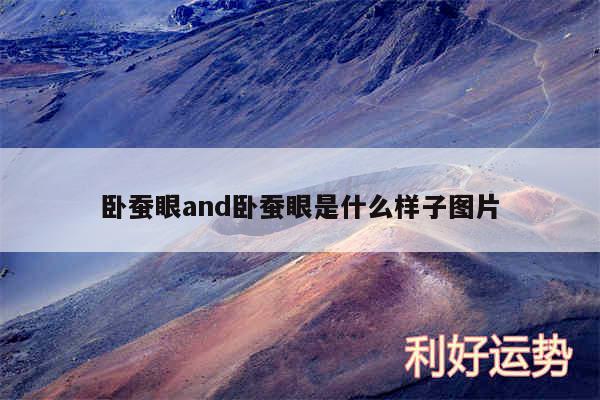 卧蚕眼and卧蚕眼是什么样子图片