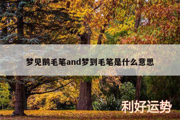 梦见鹅毛笔and梦到毛笔是什么意思