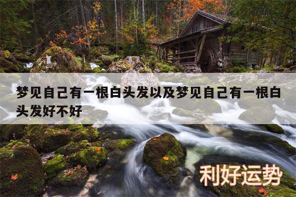 梦见自己有一根白头发以及梦见自己有一根白头发好不好
