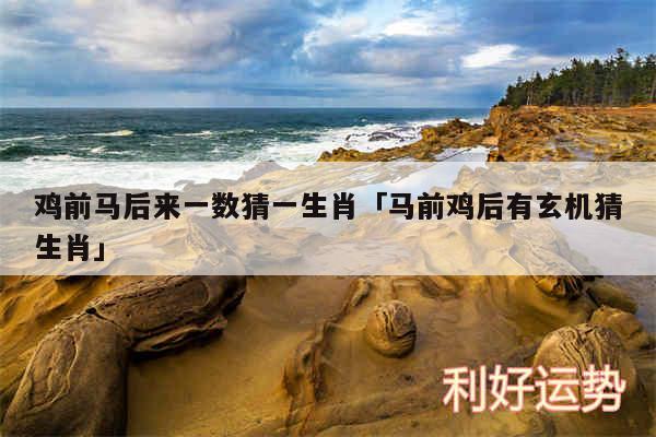 鸡前马后来一数猜一生肖及马前鸡后有玄机猜生肖