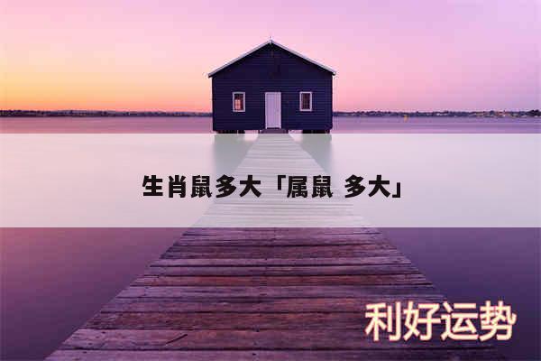 生肖鼠多大及属鼠 多大